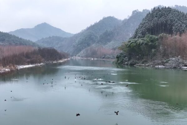 Snow_Capped_Serenity__Exploring_the_Winter_Magic_of_Liren_Village__Anhui_Province video poster