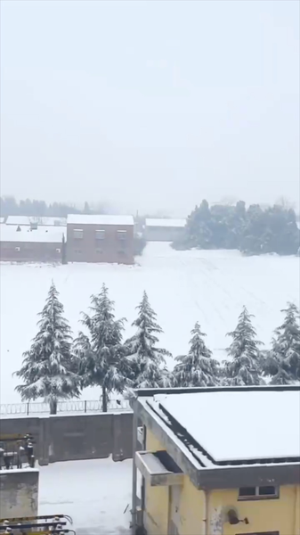 Snowy_Wonders_of_Henan__A_Train_Journey_Through_China_s_Heartland_poster - News for amigos, by amigos Snowy_Wonders_of_Henan__A_Train_Journey_Through_China_s_Heartland video poster