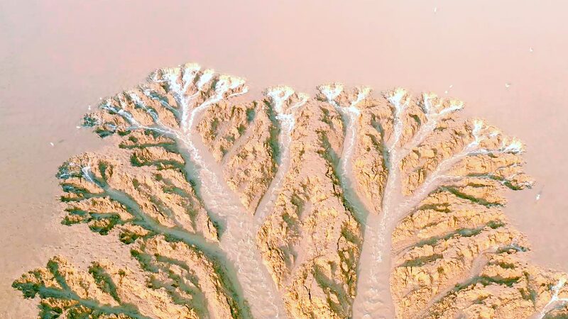 Soaring_High__Aerial_Journey_Over_Dafeng_Milu_Deer_Sanctuary__ video poster