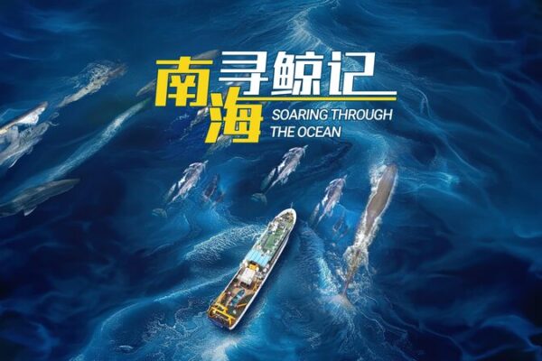 Soaring Through the Ocean: A Pilot Whale’s Journey to Recovery Soaring_Through_the_Ocean__A_Pilot_Whale_s_Journey_to_Recovery video poster
