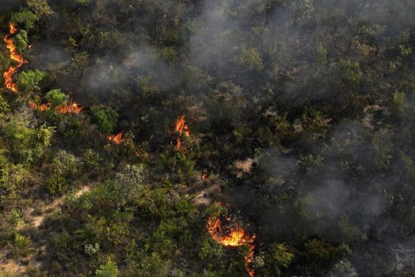 South America’s Wildfires Blaze On: Emissions Hit 20-Year Highs 🔥 South_America_s_Wildfires_Blaze_On__Emissions_Hit_20_Year_Highs__