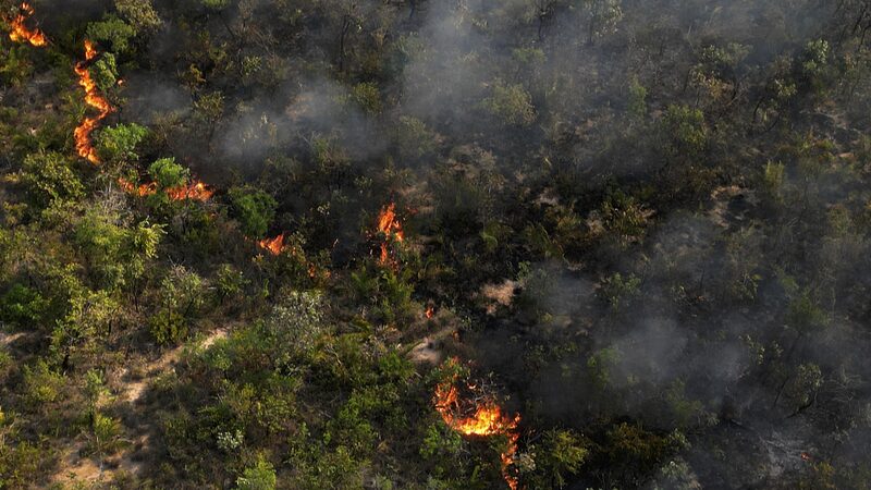 South_America_s_Wildfires_Blaze_On__Emissions_Hit_20_Year_Highs__ - News for amigos, by amigos South_America_s_Wildfires_Blaze_On__Emissions_Hit_20_Year_Highs__
