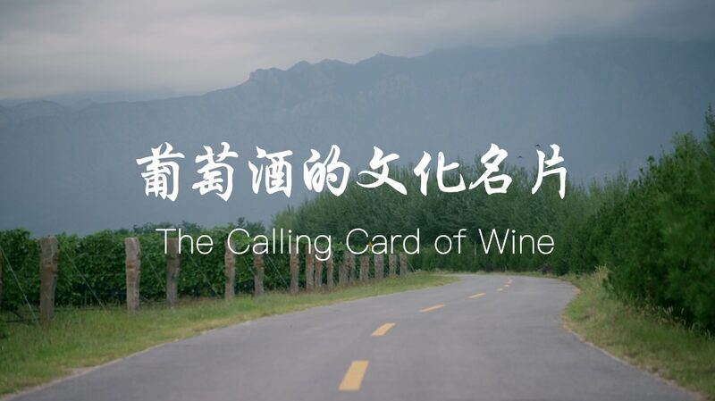 Sowing_the_Seeds__Yuan_Yuan_s_Mission_to_Share_Chinese_Wine_Culture_Worldwide_poster - News for amigos, by amigos Sowing_the_Seeds__Yuan_Yuan_s_Mission_to_Share_Chinese_Wine_Culture_Worldwide video poster