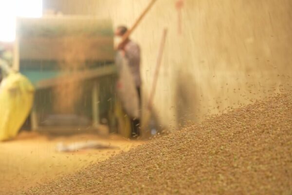 Soybean_Harvest_Wraps_Up_in_China_s_Tofu_Town___poster - News for amigos, by amigos Soybean_Harvest_Wraps_Up_in_China_s_Tofu_Town__ video poster