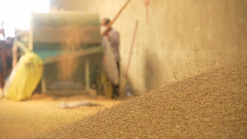 Soybean_Harvest_Wraps_Up_in_China_s_Tofu_Town___poster - News for amigos, by amigos Soybean_Harvest_Wraps_Up_in_China_s_Tofu_Town__ video poster
