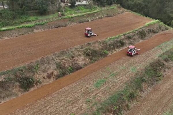 Spring Vibes: Farmers Across China Dive into Planting Season 🌱 Spring_Vibes__Farmers_Across_China_Dive_into_Planting_Season__ video poster