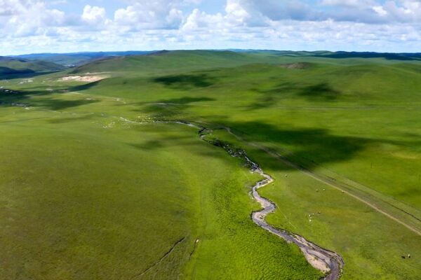 Spring’s Return: Life Blooms on Inner Mongolia’s Vibrant Grasslands Spring_s_Return__Life_Blooms_on_Inner_Mongolia_s_Vibrant_Grasslands video poster