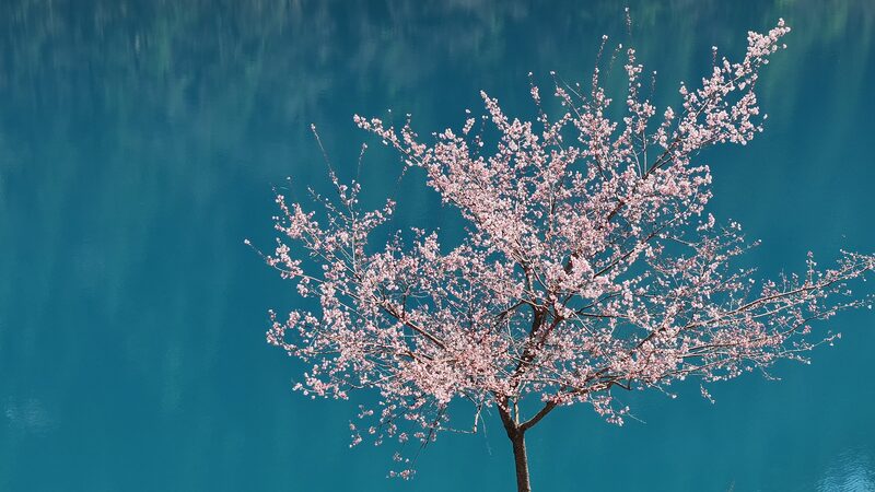 Step_into_the_Fairy_Tale_of_Jiuzhaigou_in_Spring__ video poster