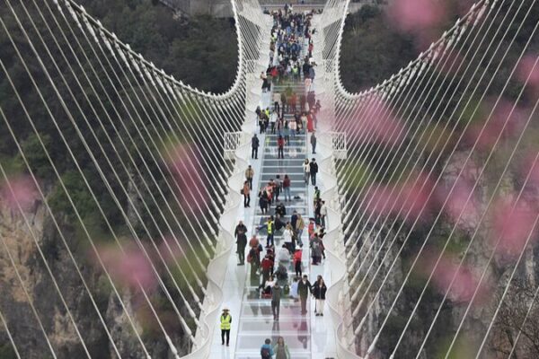 Step into the Sky: Hunan’s Thrilling Glass-Bottom Bridge Step_into_the_Sky__Hunan_s_Thrilling_Glass_Bottom_Bridge
