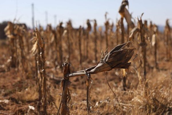 Sudan and Chad Face Severe Flooding 🌊, Lesotho Hit by Drought ☀️ Sudan_and_Chad_Face_Severe_Flooding____Lesotho_Hit_by_Drought___
