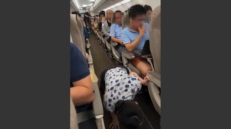 Sugar_Glider_Chaos__Woman_Arrested_After_Pet_Escapes_on_Shanghai_Flight____