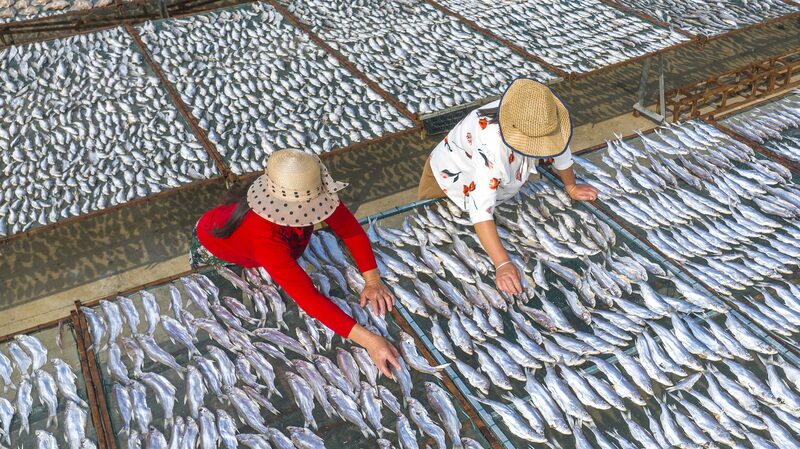 Sunny_Skies_and_Drying_Fish_in_Jiangsu____ - News for amigos, by amigos Sunny_Skies_and_Drying_Fish_in_Jiangsu____