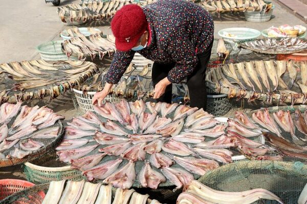 Sunshine and Seafood: East China’s Winter Harvest in Full Swing 🌞🐟 Sunshine_and_Seafood__East_China_s_Winter_Harvest_in_Full_Swing___