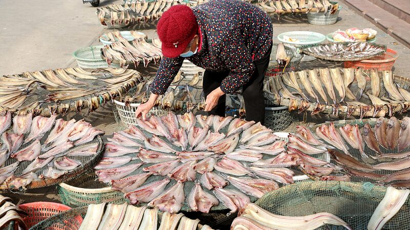 Sunshine_and_Seafood__East_China_s_Winter_Harvest_in_Full_Swing___ - News for amigos, by amigos Sunshine_and_Seafood__East_China_s_Winter_Harvest_in_Full_Swing___