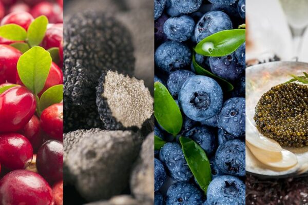 Surprise! Northeast China’s Hidden Food Treasures 🍊🍒 Surprise__Northeast_China_s_Hidden_Food_Treasures___