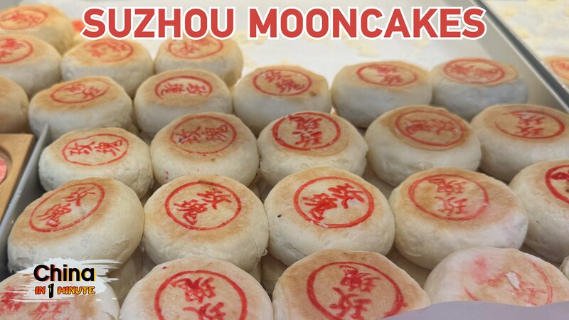 Suzhou_Mooncakes__The_Savory_Delight_You_Need_This_Mid_Autumn_Festival__poster - News for amigos, by amigos Suzhou_Mooncakes__The_Savory_Delight_You_Need_This_Mid_Autumn_Festival_ video poster