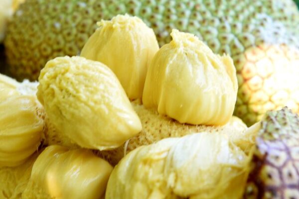 Sweet Harvest Time: Cempedak Fruits Shine in Hainan’s August 🍯🌴 Sweet_Harvest_Time__Cempedak_Fruits_Shine_in_Hainan_s_August___