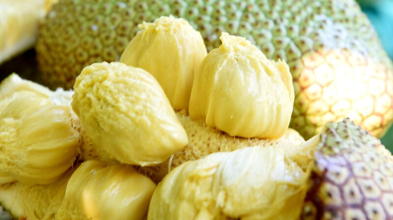 Sweet_Harvest_Time__Cempedak_Fruits_Shine_in_Hainan_s_August___ - News for amigos, by amigos Sweet_Harvest_Time__Cempedak_Fruits_Shine_in_Hainan_s_August___