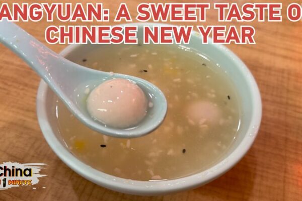 Sweet Tangyuan: Chinese New Year’s Chewy Delight! Sweet_Tangyuan__Chinese_New_Year_s_Chewy_Delight_