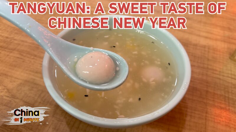 Sweet_Tangyuan__Chinese_New_Year_s_Chewy_Delight_