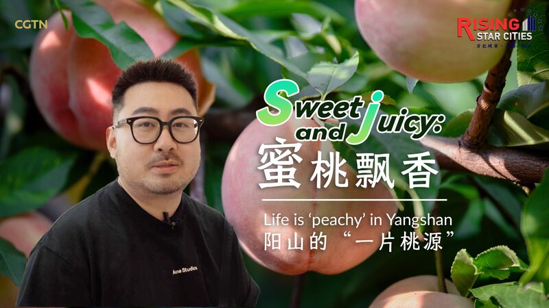 Sweet_and_Juicy__Discovering_Yangshan_s_Honey_Peach_Paradise_poster - News for amigos, by amigos Sweet_and_Juicy__Discovering_Yangshan_s_Honey_Peach_Paradise video poster