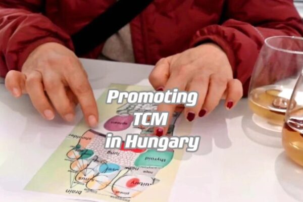 TCM Tango in Budapest: Chinese Students Wow Locals with Ancient Healing Arts TCM_Tango_in_Budapest__Chinese_Students_Wow_Locals_with_Ancient_Healing_Arts video poster
