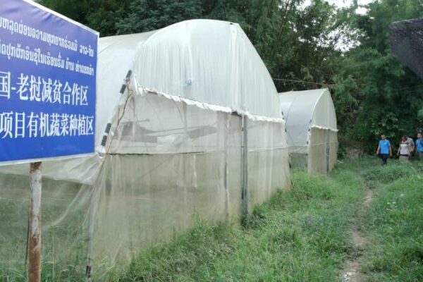 Tadorkkham_Village_Thrives_in_China_Laos_Poverty_Reduction_Project_poster - News for amigos, by amigos Tadorkkham_Village_Thrives_in_China_Laos_Poverty_Reduction_Project video poster