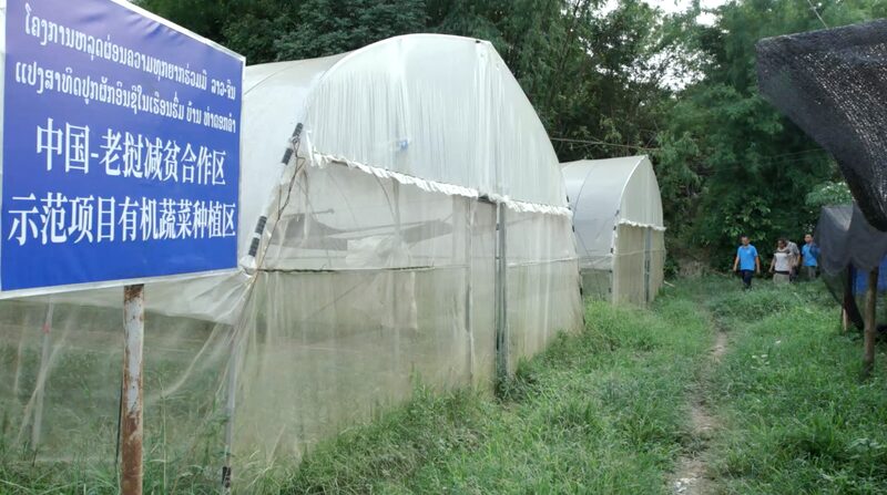 Tadorkkham_Village_Thrives_in_China_Laos_Poverty_Reduction_Project_poster - News for amigos, by amigos Tadorkkham_Village_Thrives_in_China_Laos_Poverty_Reduction_Project video poster