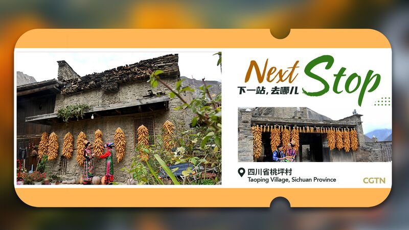 Taoping_Village__Unlocking_3_000_Years_of_Qiang_Culture____ - News for amigos, by amigos Taoping_Village__Unlocking_3_000_Years_of_Qiang_Culture____
