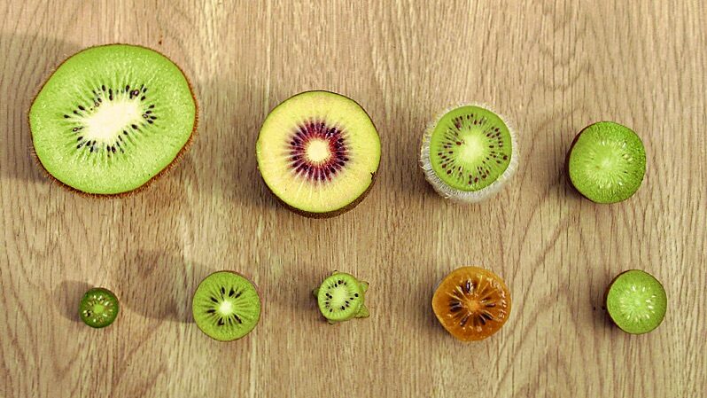 The_Kiwi_s_Journey__From_China_s_Seeds_to_New_Zealand_s_National_Fruit_and_Back - News for amigos, by amigos The_Kiwi_s_Journey__From_China_s_Seeds_to_New_Zealand_s_National_Fruit_and_Back
