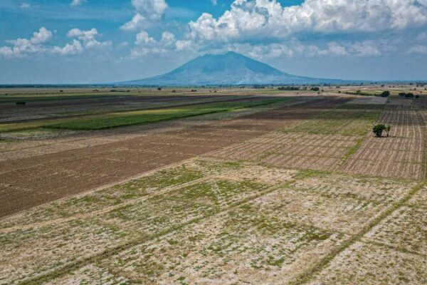 ☁️ The Philippines Eyes Cloud Seeding to Tackle El Niño-Induced Drought 🌞 ___The_Philippines_Eyes_Cloud_Seeding_to_Tackle_El_Nin_o_Induced_Drought__