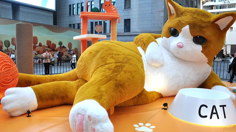 The_Purr_fect_Attraction__Giant_Cat_Appears_in_Shanghai - News for amigos, by amigos The_Purr_fect_Attraction__Giant_Cat_Appears_in_Shanghai
