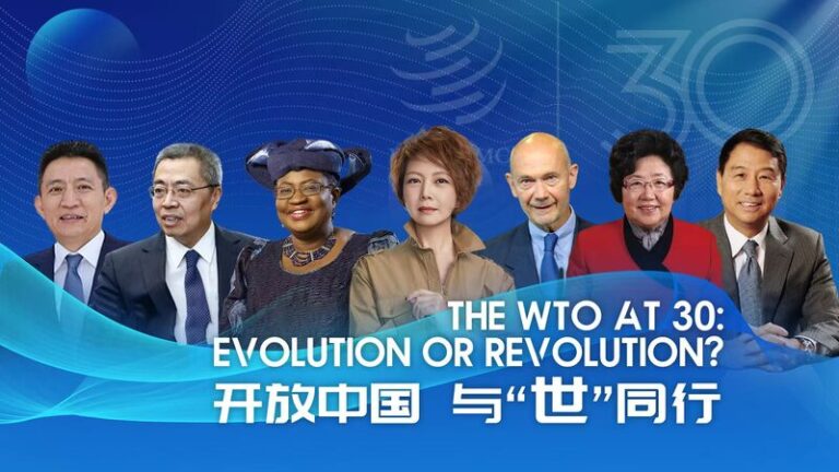 The_WTO_at_30__Evolution_or_Revolution_ video poster