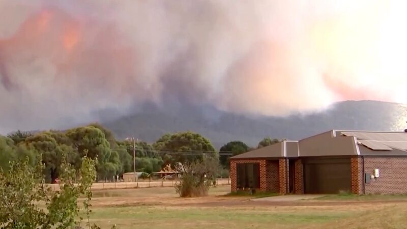 Thousands_Flee_as_Bushfires_Rage_in_Victoria__Australia - News for amigos, by amigos __Thousands_Flee_as_Bushfires_Rage_in_Victoria__Australia