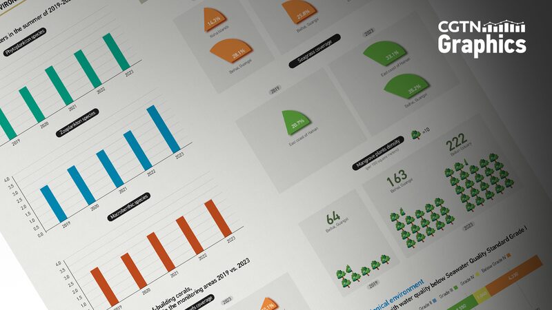 Thriving_Seas__Biodiversity_Blooms_in_South_China_Sea_s_Xisha_Islands - News for amigos, by amigos __Thriving_Seas__Biodiversity_Blooms_in_South_China_Sea_s_Xisha_Islands