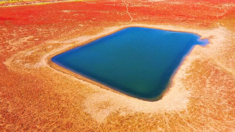 __Tiaozini_Wetland__Jiangsu_s_Coastal_Kaleidoscope__ video poster