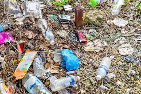 Tiny Mealworms Munching Plastic: A New Hope for Pollution 🌍🐛 Tiny_Mealworms_Munching_Plastic__A_New_Hope_for_Pollution___