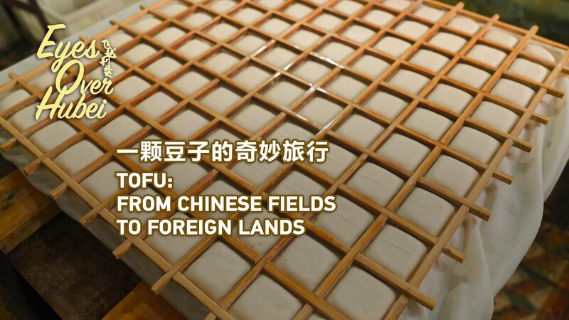 Tofu_Tales__From_Hubei_s_Shipai_Town_to_the_World__ video poster