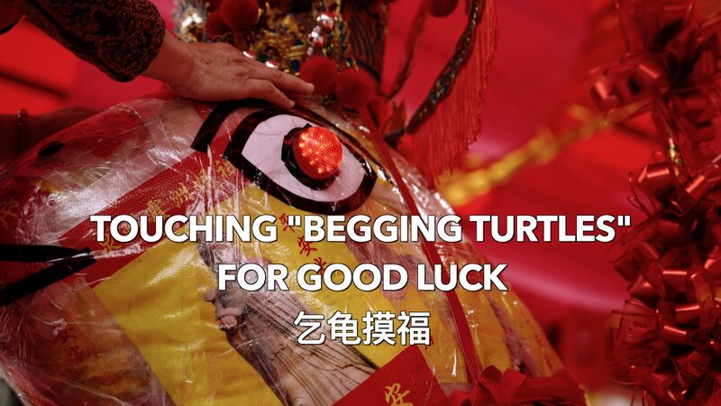 Touching__Begging_Turtles__for_Good_Luck__A_Lantern_Festival_Tradition video poster
