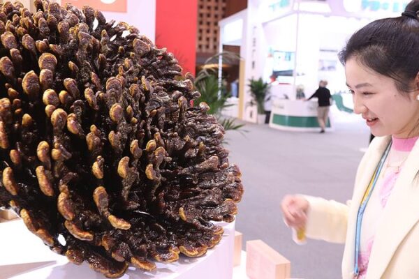 🌿 Traditional Medicine Rocks Beijing at 2024 World Conference 🌏 __Traditional_Medicine_Rocks_Beijing_at_2024_World_Conference__