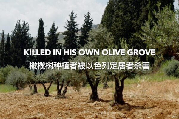 Tragedy in the Olive Grove: Bilal Saleh’s Legacy Lives On Tragedy_in_the_Olive_Grove__Bilal_Saleh_s_Legacy_Lives_On video poster