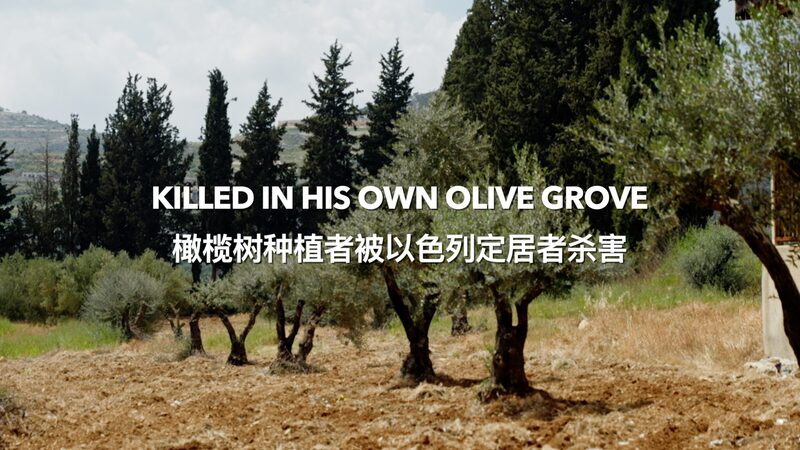 Tragedy_in_the_Olive_Grove__Bilal_Saleh_s_Legacy_Lives_On_poster - News for amigos, by amigos Tragedy_in_the_Olive_Grove__Bilal_Saleh_s_Legacy_Lives_On video poster