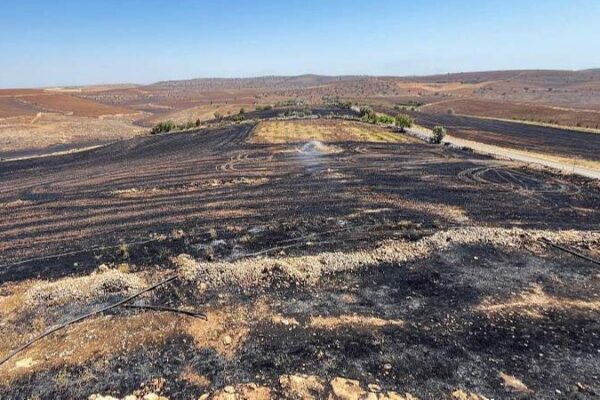 🔥 Tragic Wildfires in Southeast Türkiye Claim 11 Lives __Tragic_Wildfires_in_Southeast_Tu_rkiye_Claim_11_Lives