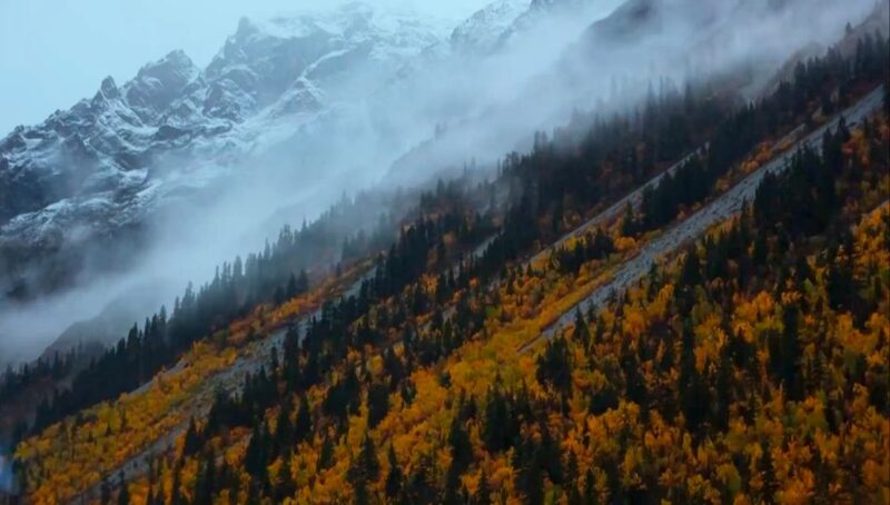 Trailblazers_Protecting_the_Himalayan_Garden__The_Epic_Quest_of_Prof__Hong_Deyuan video poster