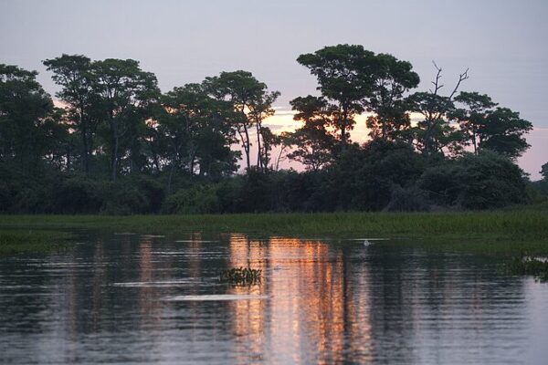 Tropical Wetlands Methane Boom Puts Climate Goals at Risk 🌿🔥 Tropical_Wetlands_Methane_Boom_Puts_Climate_Goals_at_Risk___