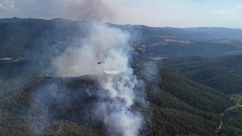 Tu_rkiye_s_Epic_Plan__Planting_500_Million_Trees_to_Heal_Wildfire_Scars___ - News for amigos, by amigos Tu_rkiye_s_Epic_Plan__Planting_500_Million_Trees_to_Heal_Wildfire_Scars___