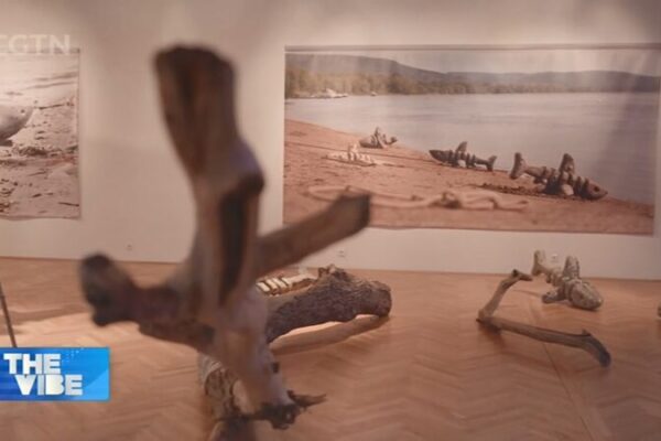 Turning Trash into Treasure: Artist Tackles Danube Pollution with Provocative Sculptures Turning_Trash_into_Treasure__Artist_Tackles_Danube_Pollution_with_Provocative_Sculptures video poster