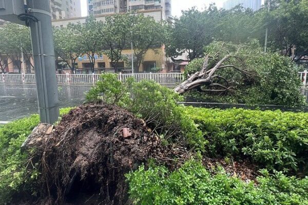 Typhoon Doksuri Hits Fujian: Powerful Winds and Heavy Rains Sweep Southeast China 🌪️🌧️ Typhoon_Doksuri_Hits_Fujian__Powerful_Winds_and_Heavy_Rains_Sweep_Southeast_China_____ video poster