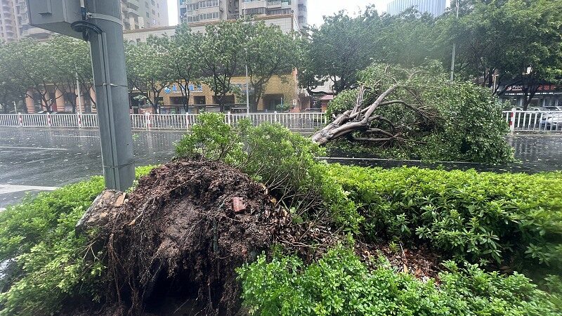 Typhoon_Doksuri_Hits_Fujian__Powerful_Winds_and_Heavy_Rains_Sweep_Southeast_China______poster - News for amigos, by amigos Typhoon_Doksuri_Hits_Fujian__Powerful_Winds_and_Heavy_Rains_Sweep_Southeast_China_____ video poster