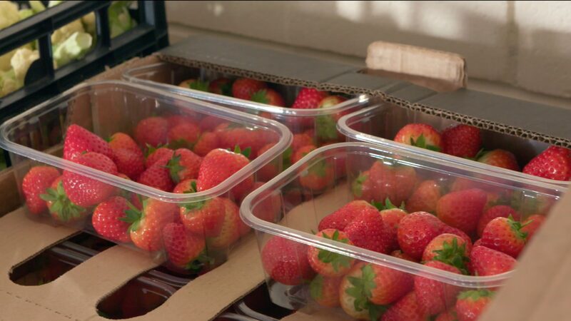 UK_Families_Choose_Between_Heating_and_Eating_as_Energy_Prices_Skyrocket______poster - News for amigos, by amigos UK_Families_Choose_Between_Heating_and_Eating_as_Energy_Prices_Skyrocket_____ video poster